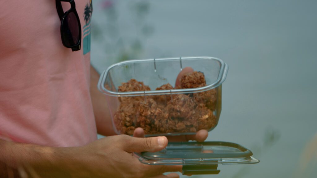 Food B-Roll.00_00_39_23.Still003