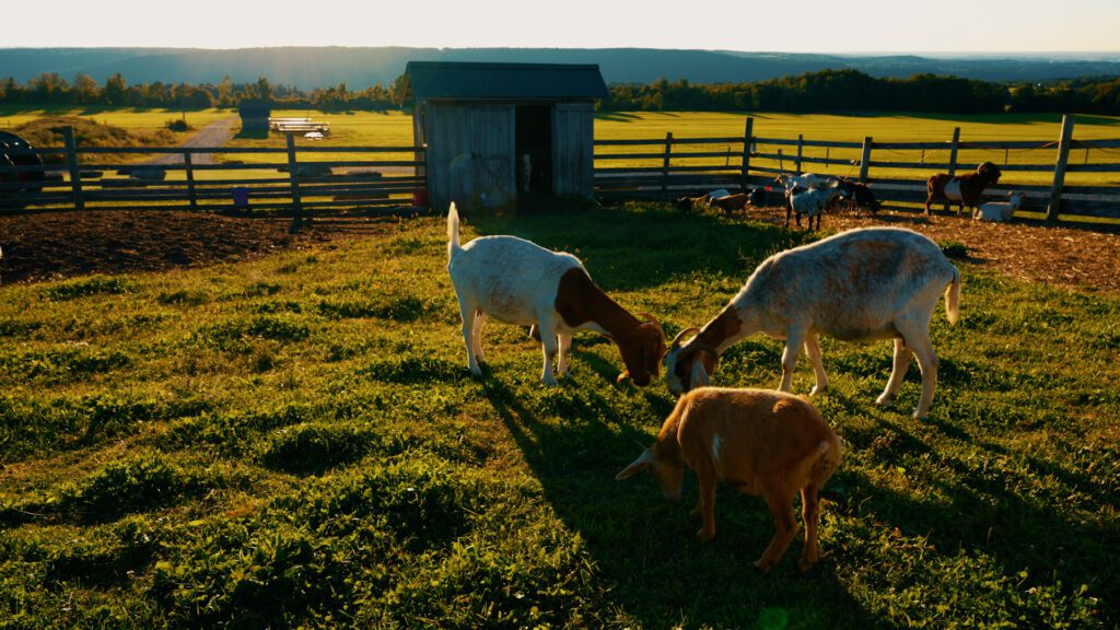 Party B-Roll.00_01_09_26.Still003