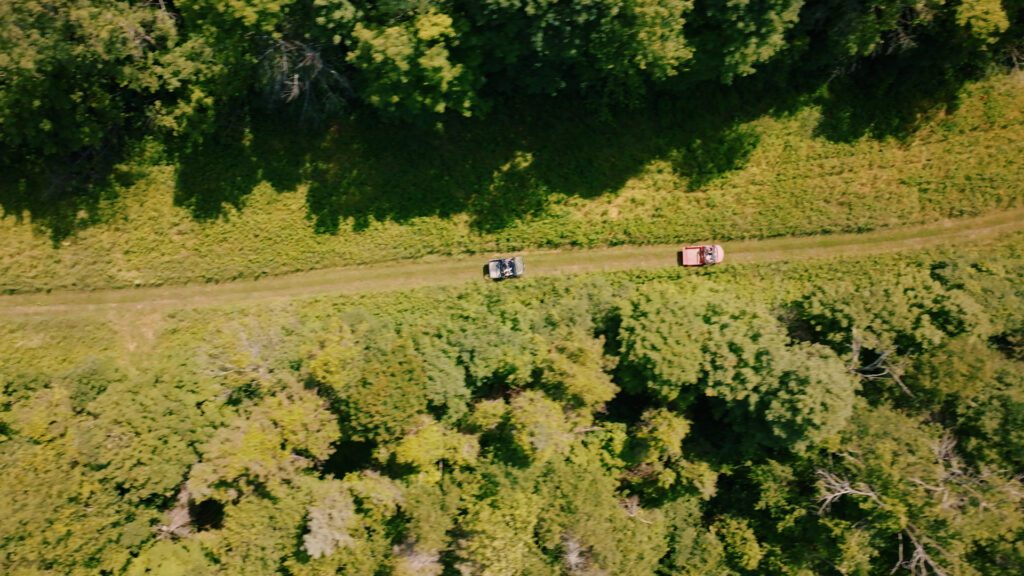 MAIN_OnAllFours.00_21_39_23.Still010